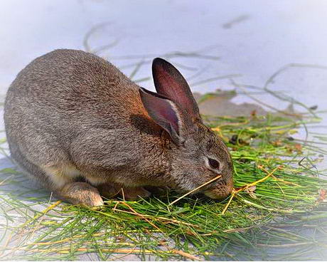 昆山周庄绿乐园