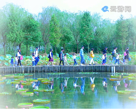 苏州甪直水八仙生态文化园