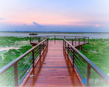 苏州阳澄湖莲花岛旅游景区