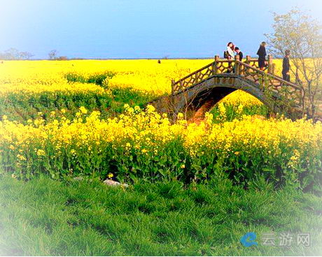 苏州阳澄湖莲花岛旅游景区