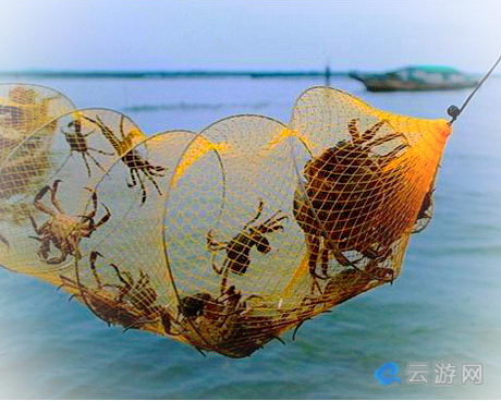 苏州阳澄湖莲花岛旅游景区