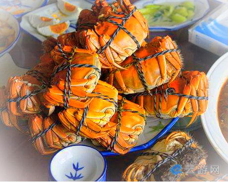 苏州阳澄湖莲花岛旅游景区