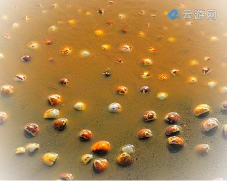 如东海上迪斯科休闲旅游区