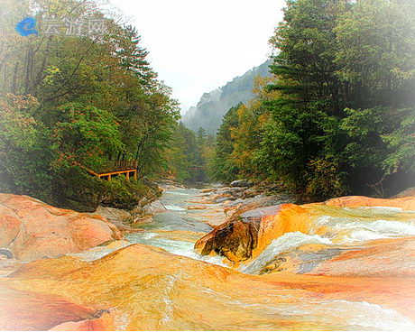 太白黄柏塬风景区