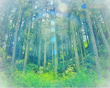 平江幕阜山景区