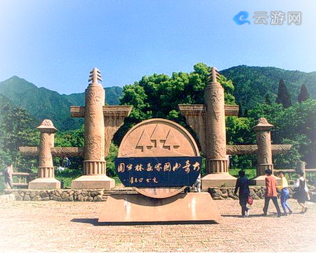 桐庐大奇山森林公园