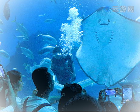 绍兴镜湖湿地海洋世界