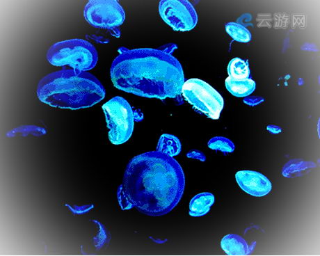 绍兴镜湖湿地海洋世界