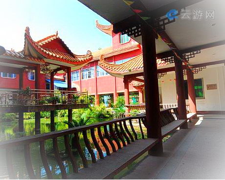 南川楠竹山森林公园