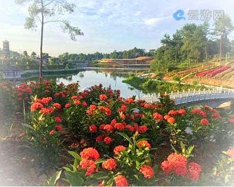 涪陵古今花海景区