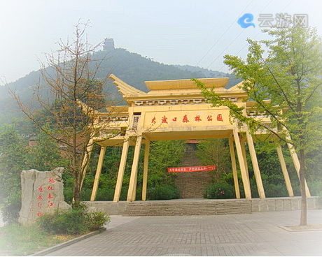 重庆大渡口森林公园