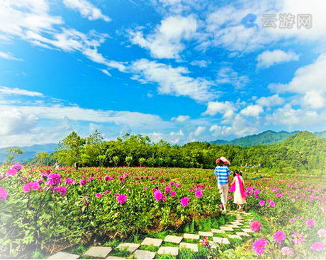 石柱云中花都景区