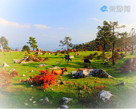 石柱千野草场景区