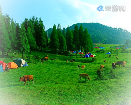 石柱千野草场景区