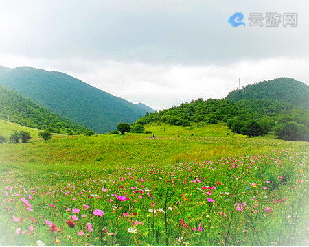 巫溪大官山景区