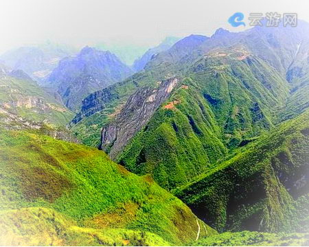 阴条岭自然保护区
