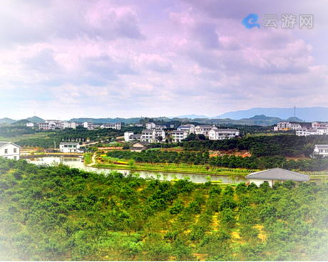 中国柑橘城，又称三峡橘海