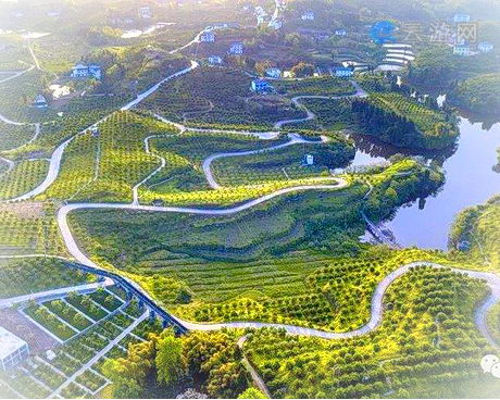 中国柑橘城，又称三峡橘海