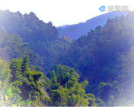 荣昌岚峰森林公园