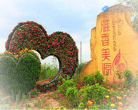 潼南雅香美源玫瑰产业园