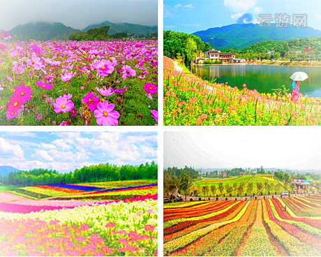 铜梁黄桷门奇彩梦园