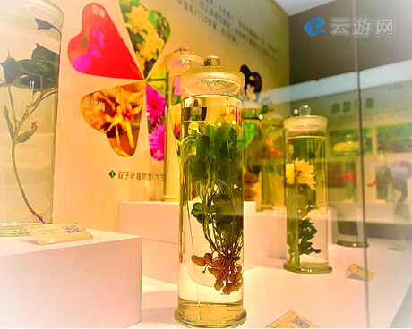 郑州生命与健康科学馆