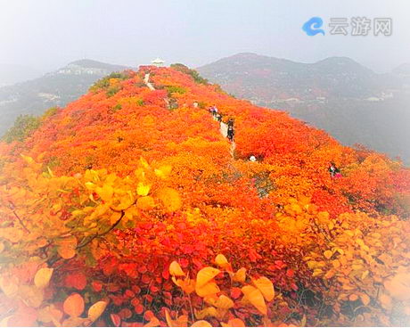 巩义竹林长寿山