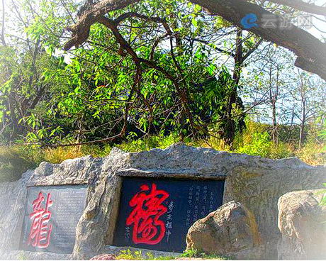 巩义竹林长寿山