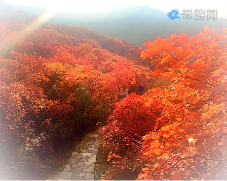 巩义竹林长寿山