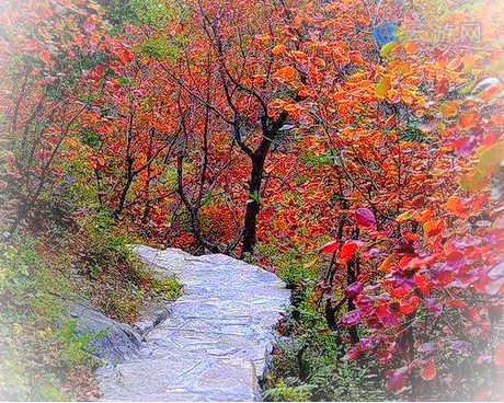 巩义竹林长寿山