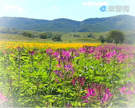 赤峰蛤蟆坝景区
