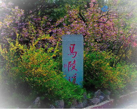 新沂马陵山风景名胜区