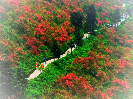 贵州丹寨龙泉山