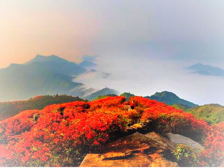 贵州丹寨龙泉山