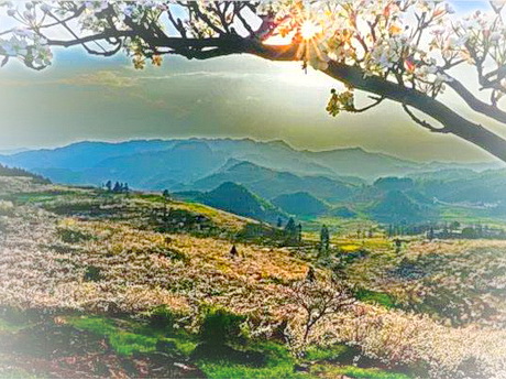 盘县马鞍山