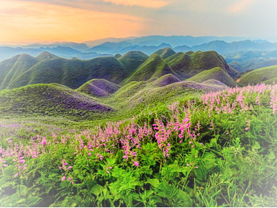 金沙玉簪花海景区