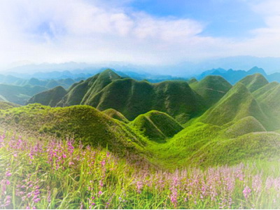 金沙玉簪花海景区