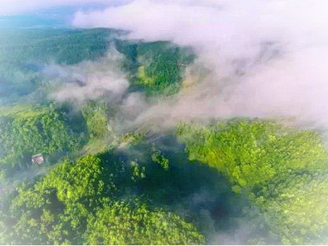 毕节国家森林公园