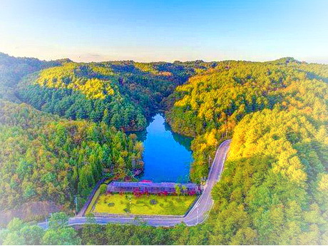 毕节国家森林公园