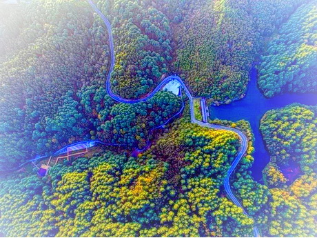 毕节国家森林公园