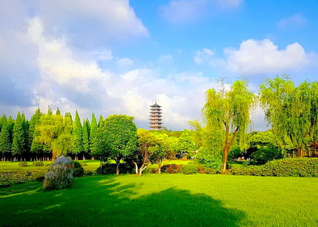 宜兴龙背山森林公园