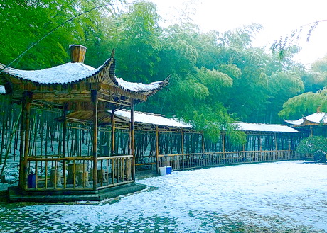 宜兴龙背山森林公园