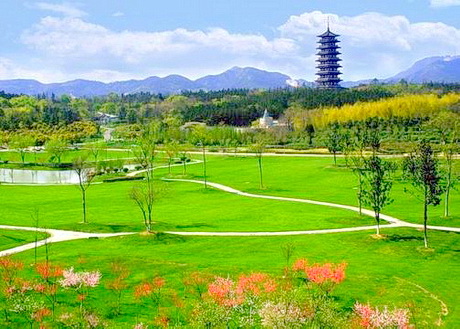 宜兴龙背山森林公园
