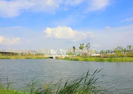 无锡九里河湿地公园