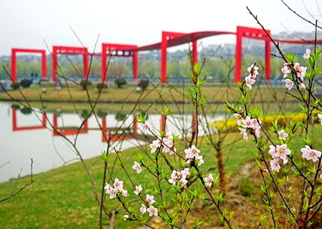 吴江芦荡湖湿地公园