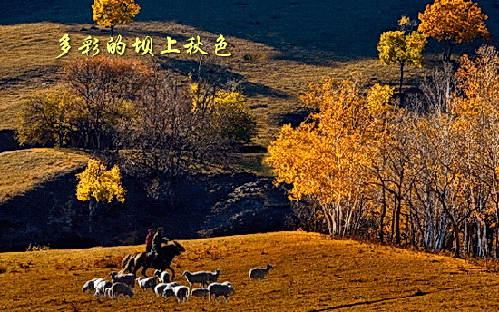 坝上秋色风光图片欣赏