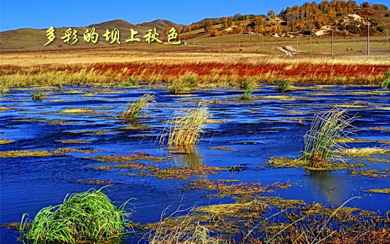 坝上秋色风光图片欣赏