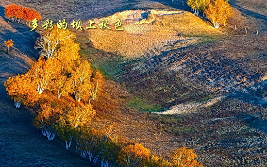 坝上秋色风光图片欣赏