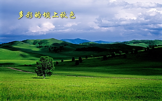 坝上秋色风光图片欣赏