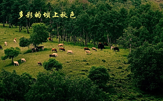 坝上秋色风光图片欣赏